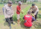 Polisi-Cinta-Petani,-Kapolsek-Porong-Turun-Langsung-Cek-Lahan-Ketahanan-Pangan