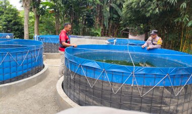 Polsek-Porong-Dampingi-Warga-Budidaya-Ikan-Lele-dan-Nila