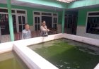 Kanit-Binmas-Polsek-Krembung-dan-Kades-Lemujut-Tinjau-Budidaya-Ikan-Gurami-dan-Lele-di-Lahan-Bumdes