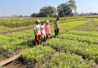 Bhabinkamtibmas-Lemujut-Dukung-P2B-Petani-Desa