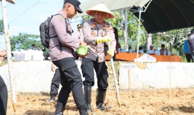 Gelorakan-Swasembada-Pangan-Wakapolres-Pamekasan-Pimpin-Penanaman-Jagung-di-Pagantenan