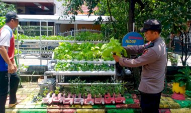 Polisi-Apresiasi-Warga-MCG-Kembangkan-Sayuran-Hidroponik