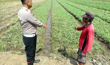 Bhabinkamtibmas-Desa-Wonokupang-Polsek-Balongbendo-Cek-Lahan-Ketahanan-Pangan
