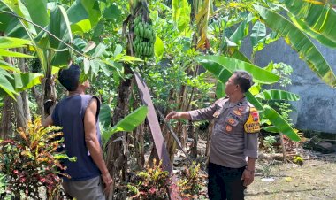 Polsek-Tanggulangin-Dukung-Ketahanan-Pangan-Tingkat-Desa-Lewat-Peran-Aktif-Bhabinkamtibmas