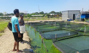 Humanis,-Bhabinkamtibmas-Trosobo-Penggerak-Ketahanan-Pangan-Bantu-Beri-Pakan-Ikan-Lele