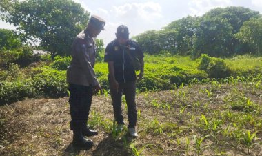 Kapolresta-Sidoarjo-Dorong-Swasembada-Pangan-Lewat-Budidaya-Jagung