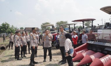 Tim-Verifikasi-Lomba-Ketahanan-Pangan-Mabes-Polri-Tinjau-Lahan-Jagung-di-Sidoarjo