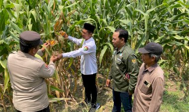 Bhabinkamtibmas-Balongbendo-Dampingi-Petani-Sukseskan-Ketahanan-Pangan