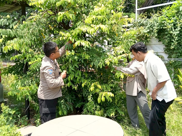 Polsek Waru Masifkan Peran Bhabinkamtibmas Cek Perkembangan Tanaman Ketahanan Pangan