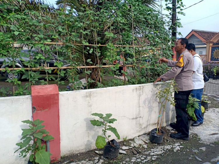 Bhabinkamtibmas Desa Kenongo Ajak Warga Dukung Program Ketahanan Pangan Melalui Pemanfaatan Pekarangan Sayuran