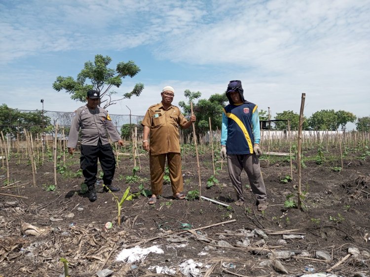 Bhabinkamtibmas, Perangkat Desa, dan Kelompok Tani di Gedangan Bahas Ketahanan Pangan melalui Penanaman Buah Garbis