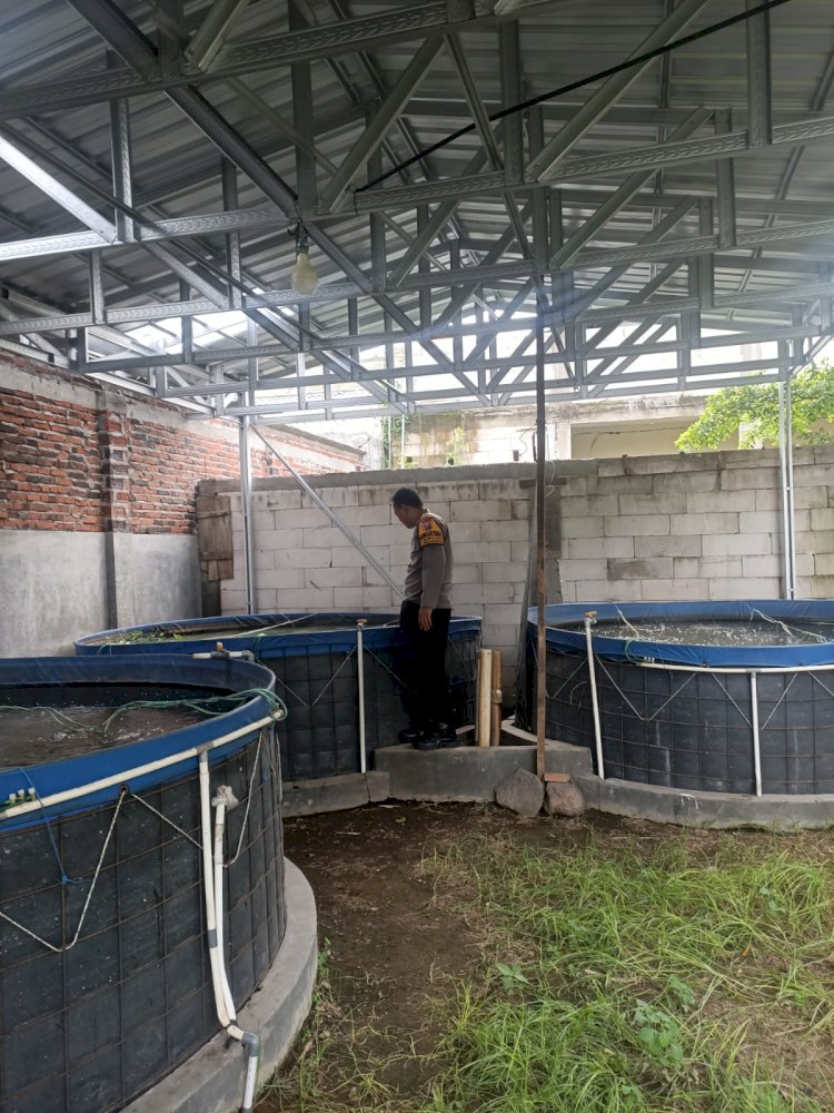 Kapolsek Gedangan Optimalkan Peran Bhabinkamtibmas Kolaborasi Warga Sukseskan Ketahanan Pangan Lewat Budidaya Ikan Lele