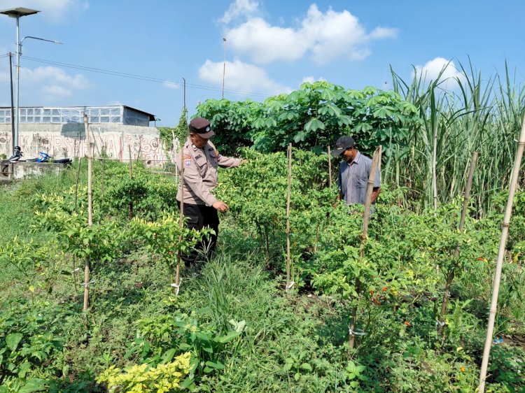 Bhabinkamtibmas Pangkemiri Motivasi Upaya Warga Kelolah Lahan Ketahanan Pangan untuk Tanaman Sayur