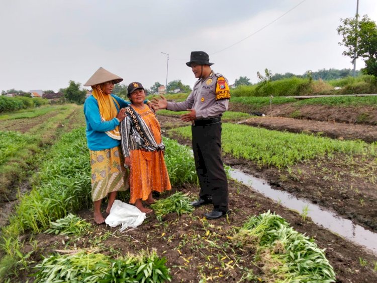 Upaya Ketahanan Pangan, Polisi Bantu Petani di Balongbendo Kelola Lahan Tidur Jadi Lebih Produktif