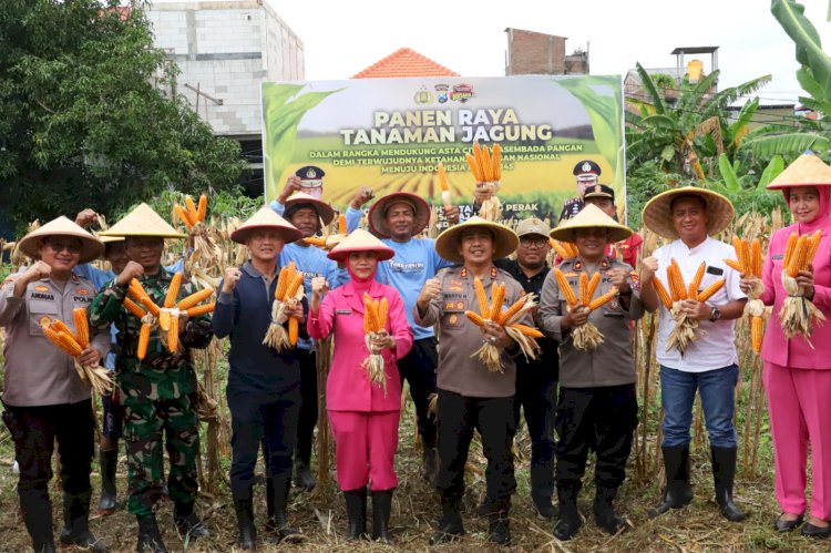 Polres Pelabuhan Tanjungperak bersama Poktan Panen Raya Jagung Tahap 7, Perkuat Ketahanan Pangan Nasional