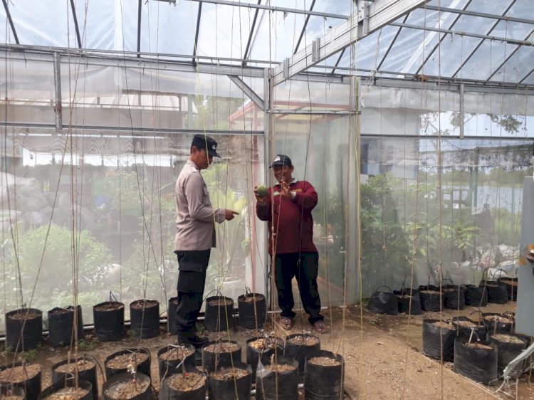 Bhabinkamtibmas Desa Kalanganyar Tinjau Lahan Ketahanan Pangan untuk Budidaya Melon