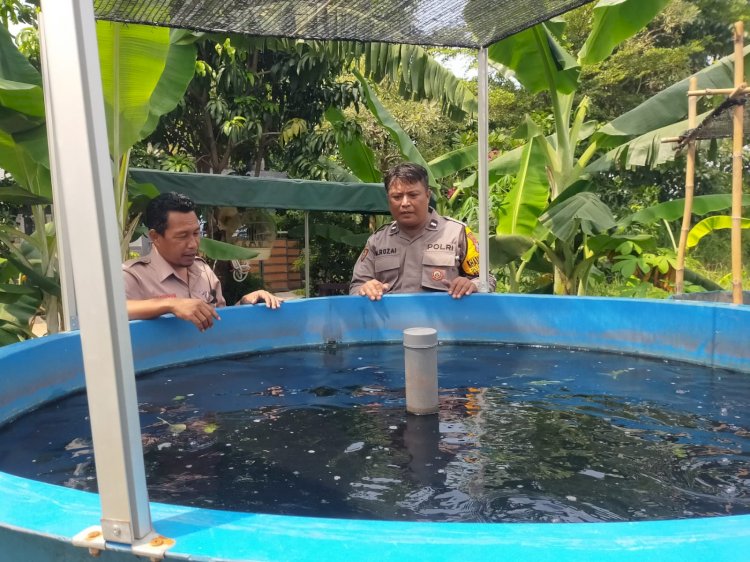 Kolaborasi Bhabinkamtibmas dan Perangkat Desa Wedi Dukung Budidaya Lele untuk Wujudkan Ketahanan Pangan