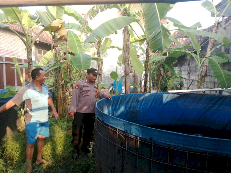 Bhabinkamtibmas Polsek Sukodono Polresta Sidoarjo Cek Lahan P2B untuk Dukung Swasembada Pangan Warga