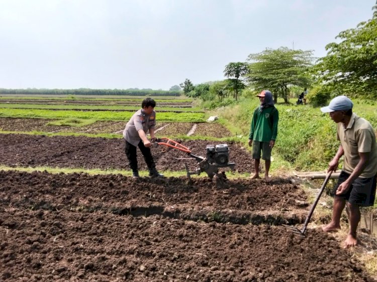 Kanit Binmas Polsek Prambon Polresta Sidoarjo Tinjau Lahan P2B Wujud Program Ketahanan Pangan Nasional