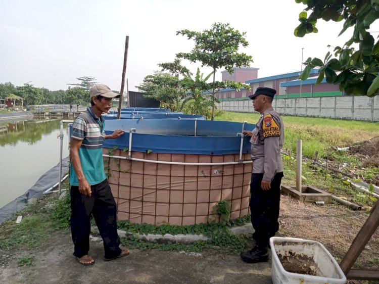 Bhabinkamtibmas Apresiasi Pembesaran Ikan Lele Warga di Lahan Ketahanan Pangan Desa Kraton Krian