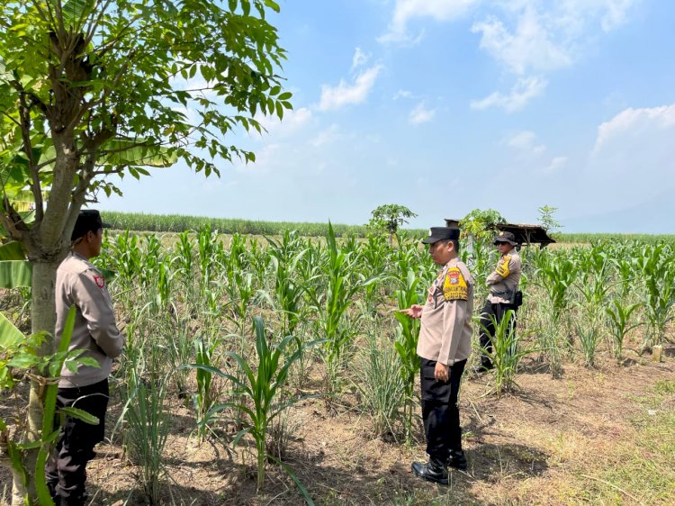 Polisi Cinta Petani, Gencarkan Pendampingan Program Ketahanan Pangan di Kecamatan Krembung
