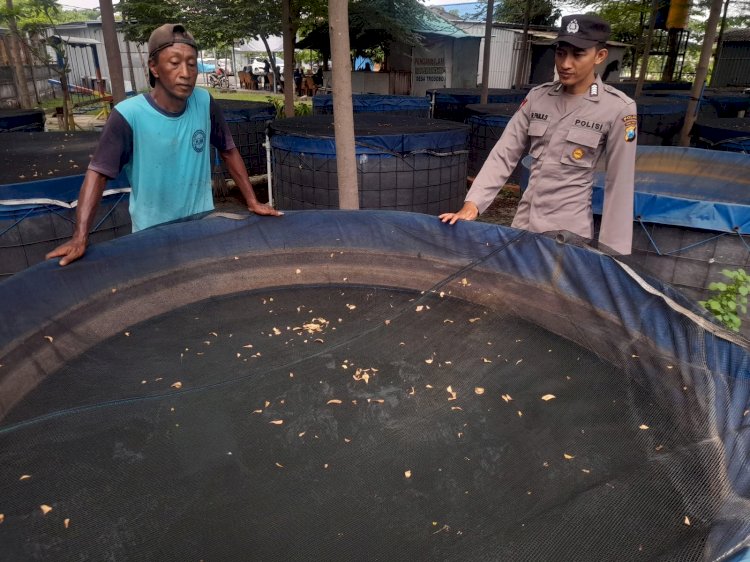 Bhabinkamtibmas Kalijaten Motivasi Warga Optimalkan Upaya Ketahanan Pangan Melalui Budidaya Lele