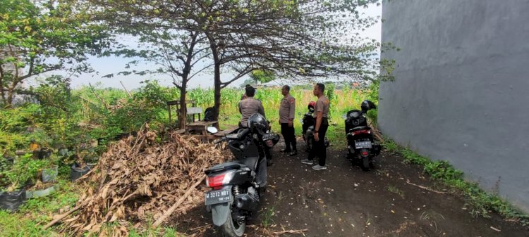 Persiapan Panen Raya, Polisi Tinjau Lahan Jagung